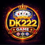 dk222 logo